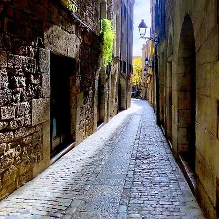 Dream Devesa Girona